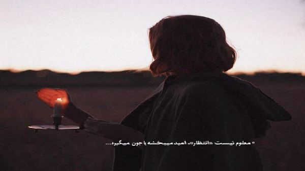 Love Me Not لاو می نات